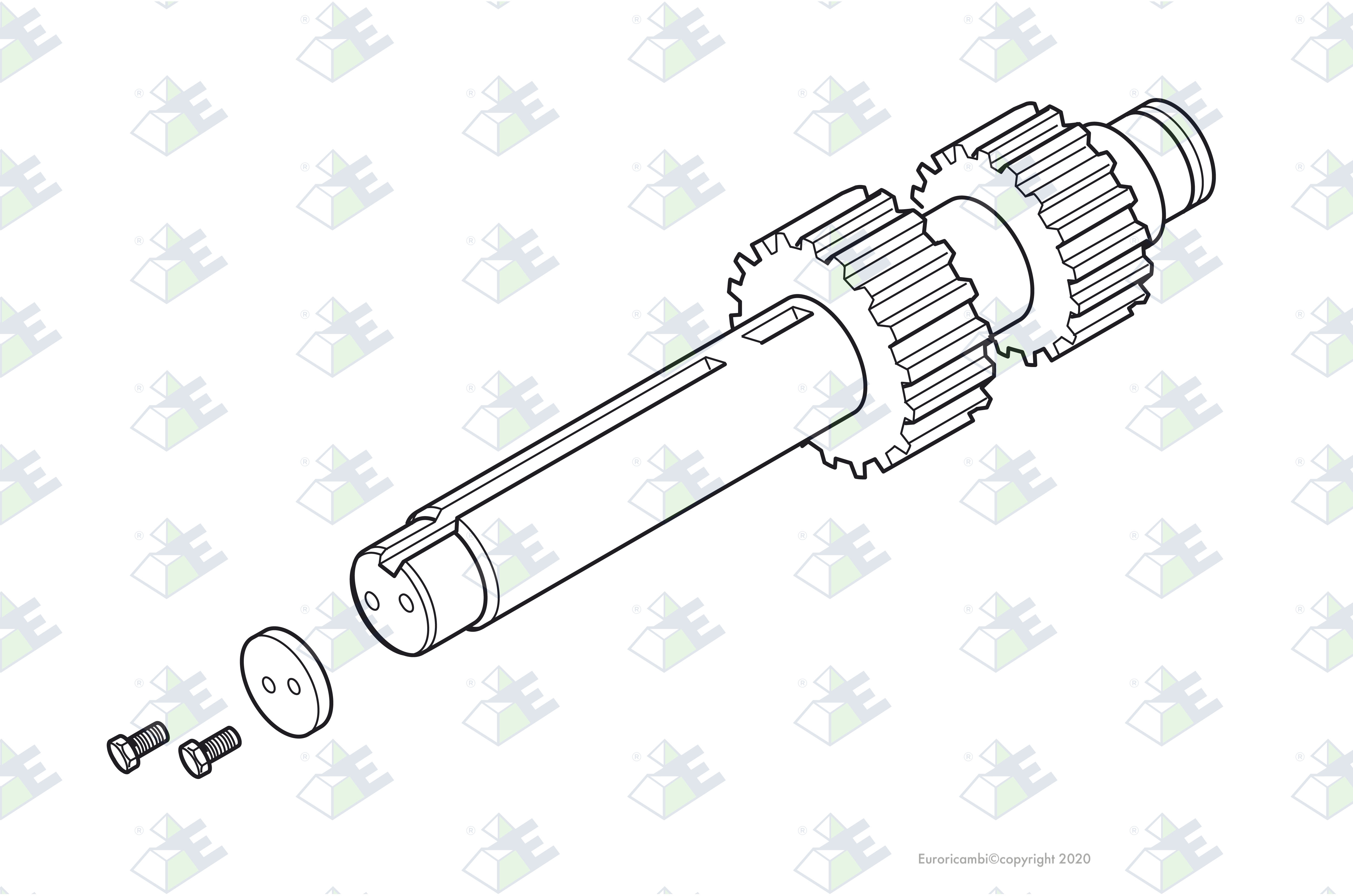COUNTERSHAFT KIT suitable to STEYER 81322060028