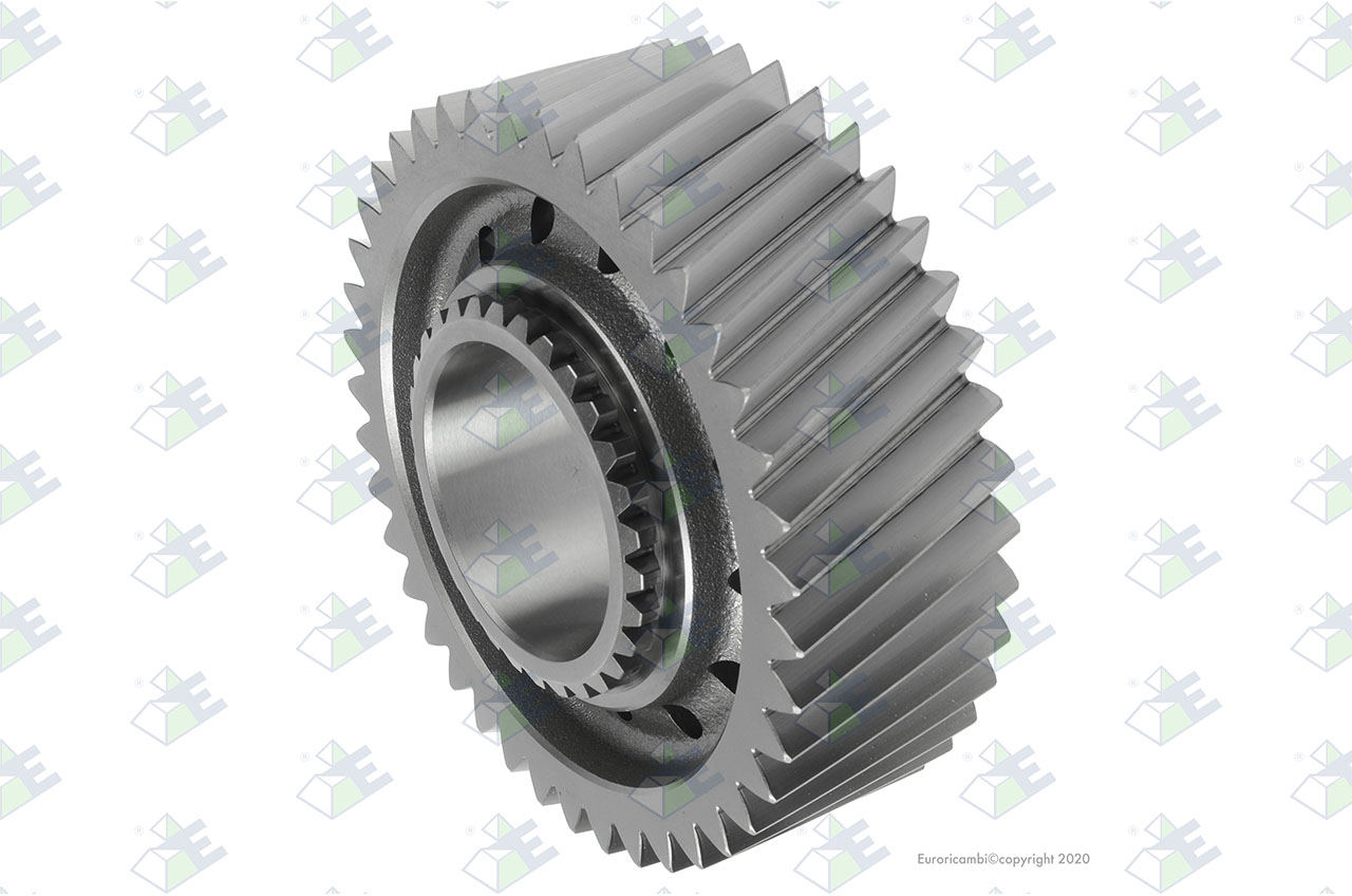 GEAR 1ST SPEED 41 T. suitable to EUROTEC 60004893