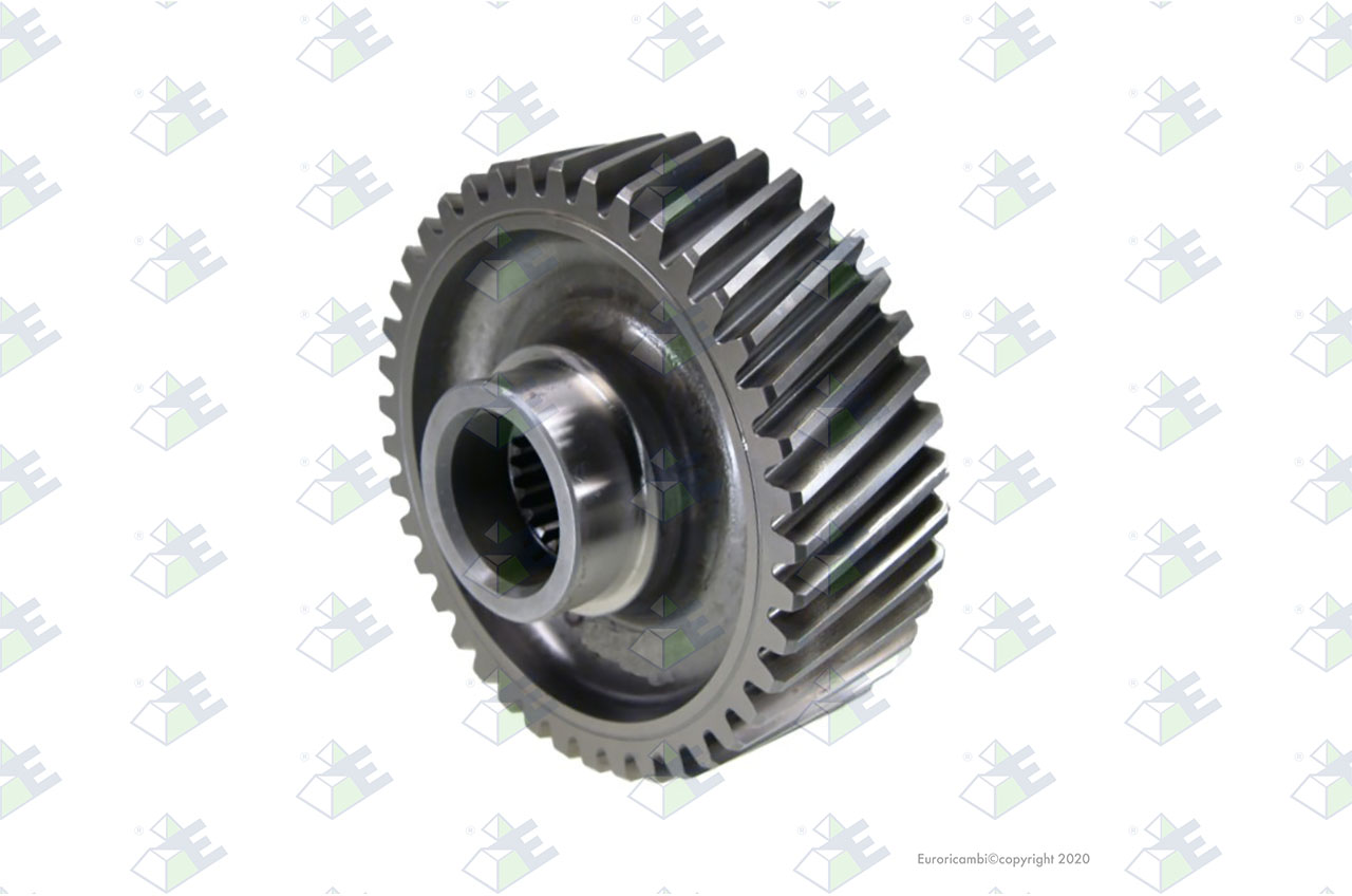 OUTSIDE GEAR 41 T. suitable to EUROTEC 88001437