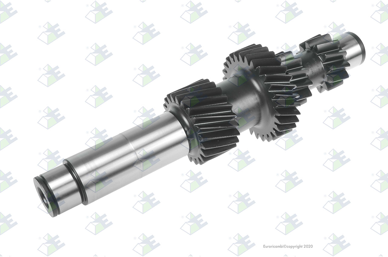 COUNTERSHAFT 12/12/29/22T suitable to EUROTEC 88001270