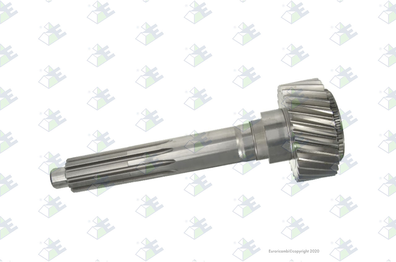 INPUT SHAFT 29 T. suitable to EUROTEC 95000386