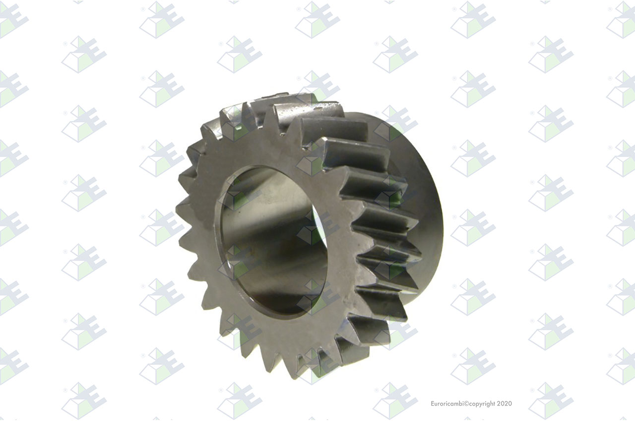 GEAR 3RD SPEED 24 T. suitable to MAN 81323020008