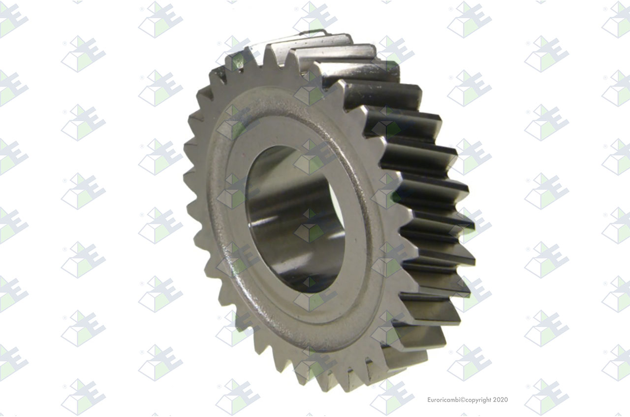 GEAR 4TH SPEED 31 T. suitable to AM GEARS 72581