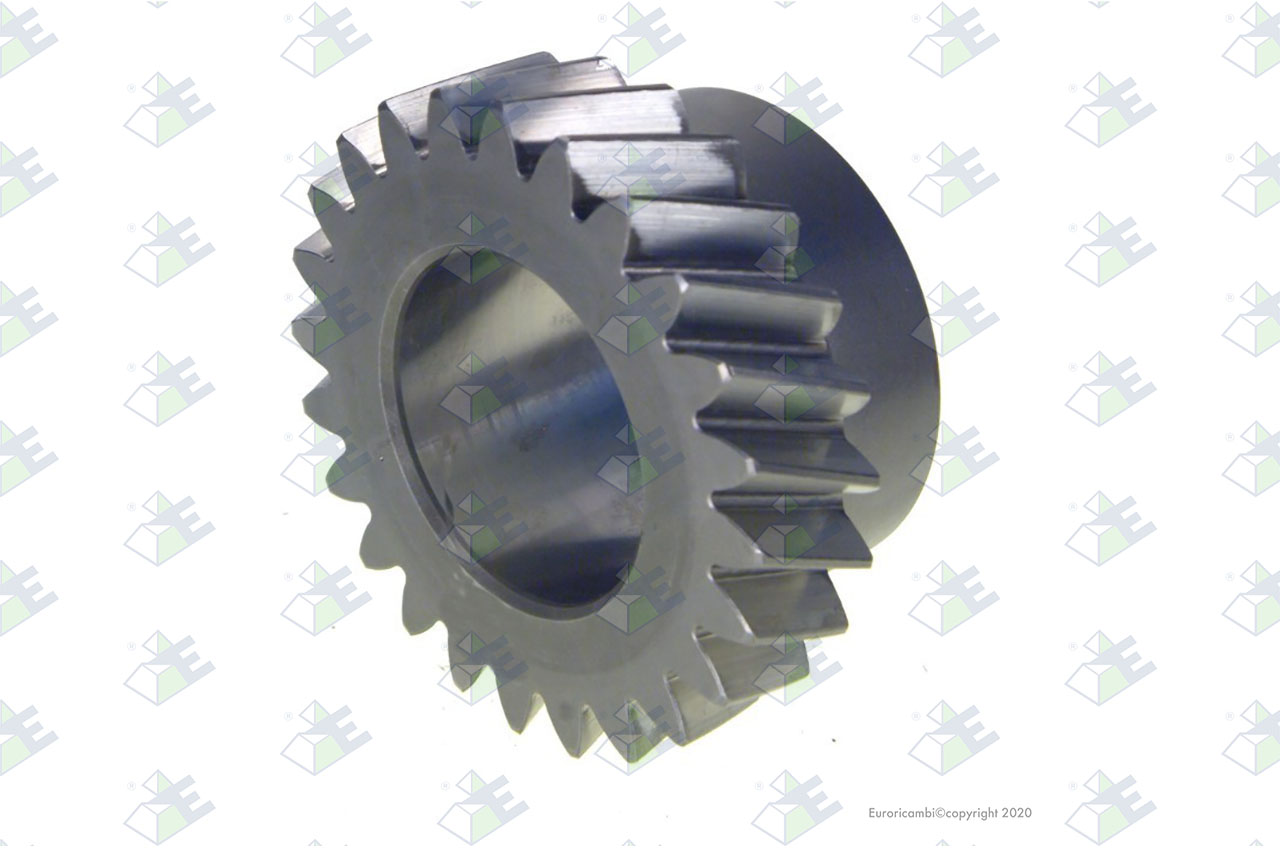 GEAR 3RD SPEED 24 T. suitable to ZF TRANSMISSIONS 1310303078