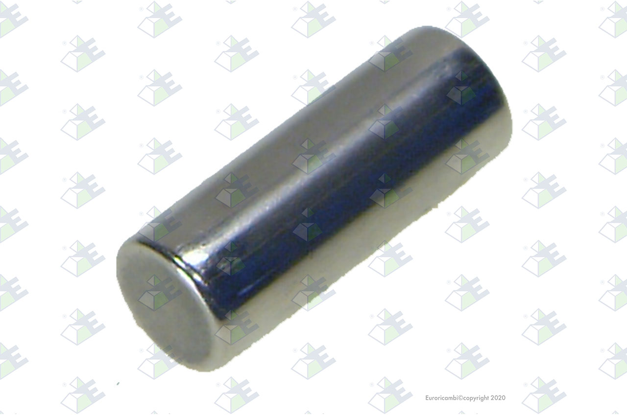 ROLLER D.6X16,9 suitable to EUROTEC 95006069