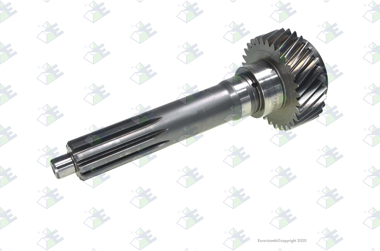 INPUT SHAFT 31 T. suitable to EUROTEC 95007455