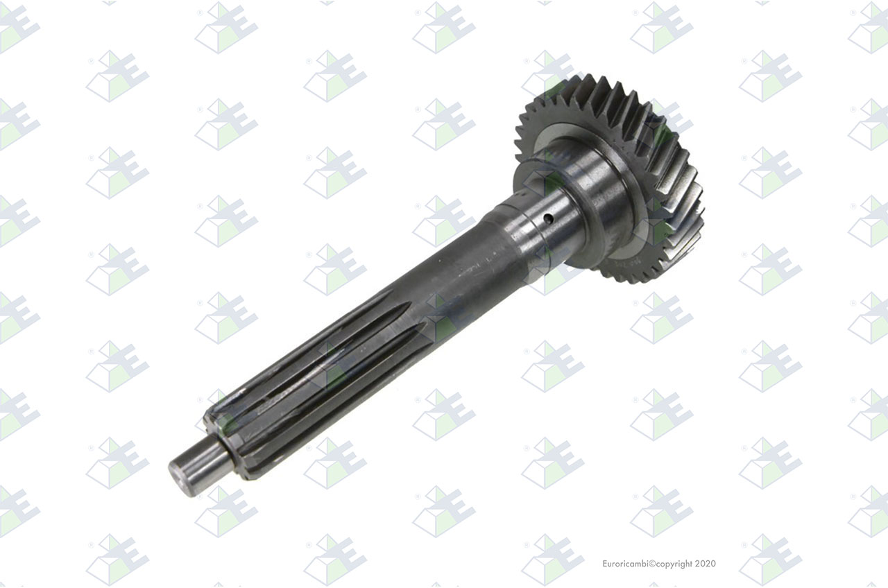 INPUT SHAFT 34 T. suitable to EUROTEC 95005595
