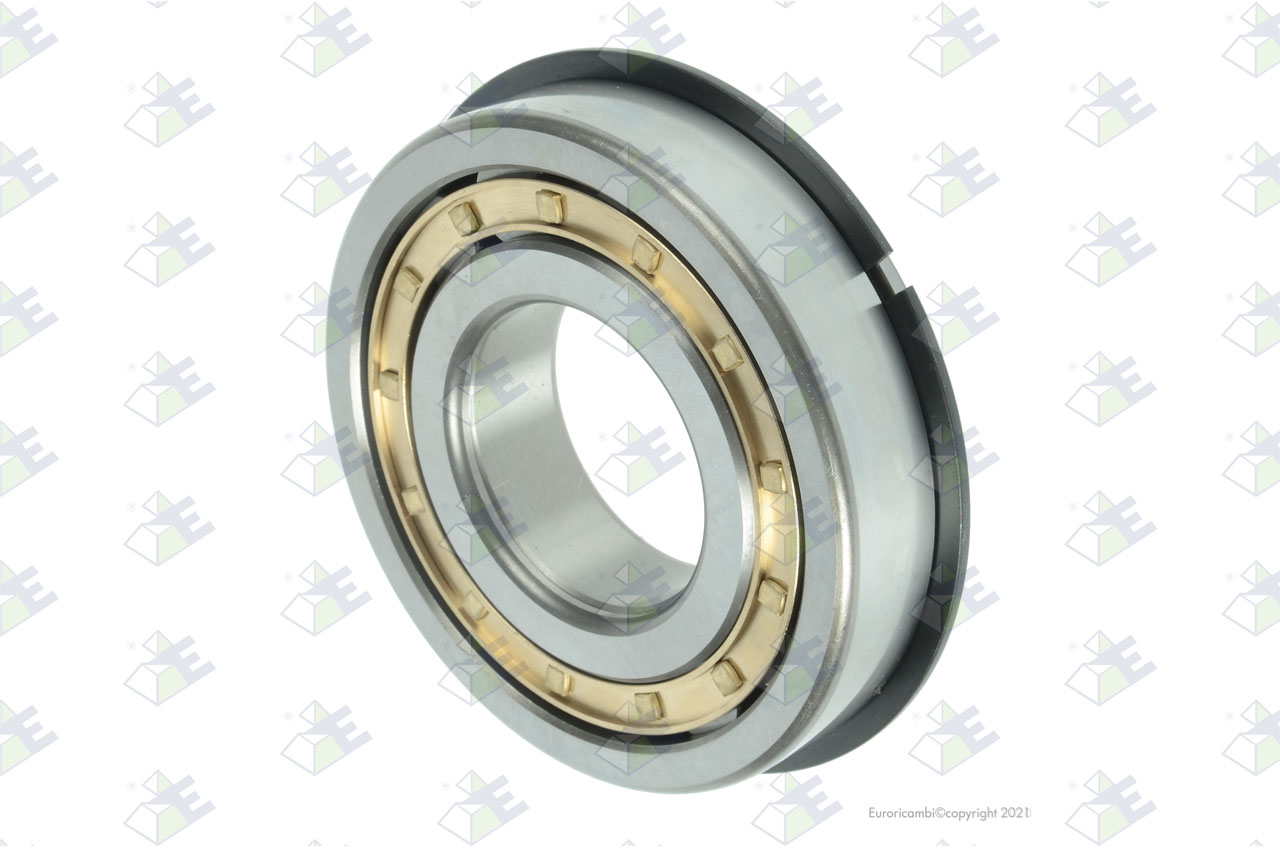BEARING 55X120X29 MM suitable to EUROTEC 98000285